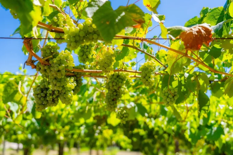 DIA 3 - FOTOGRAFIAS (20)